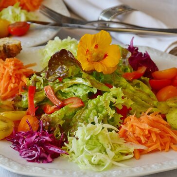Salat essen in Plauen
